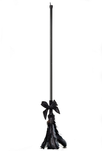Heksenbezem veren zwart
